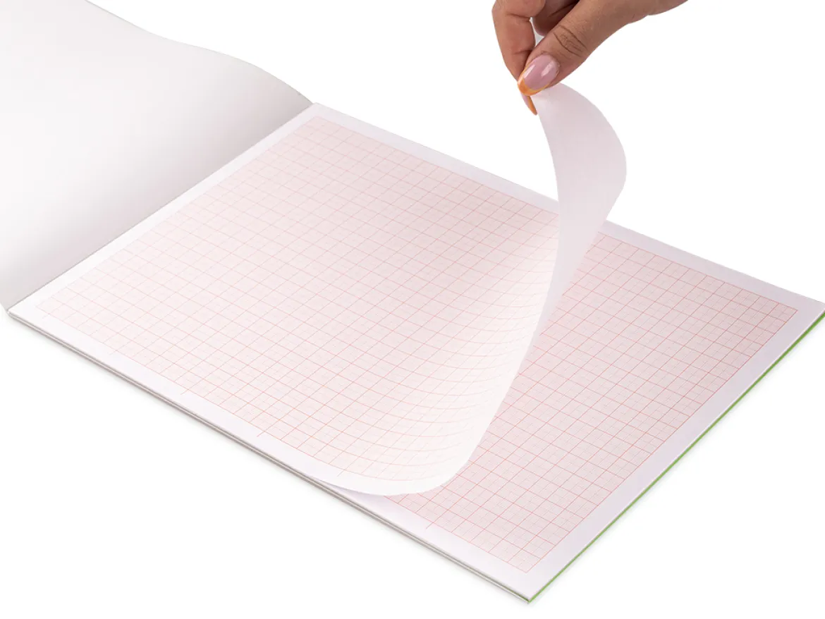 Blocco da disegno carta millimetrata