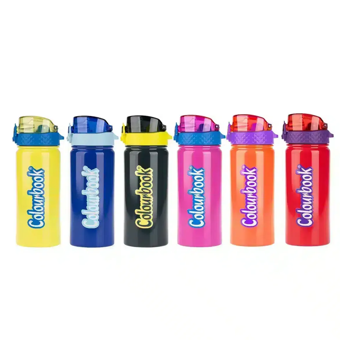 Borraccia termica Bicolor 550ml