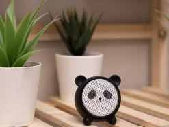Cassa speaker Cute Beat