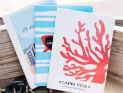 Set 3 mini quaderni – Capri Vice