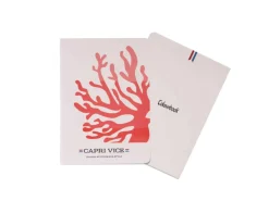 Set 3 mini quaderni – Capri Vice