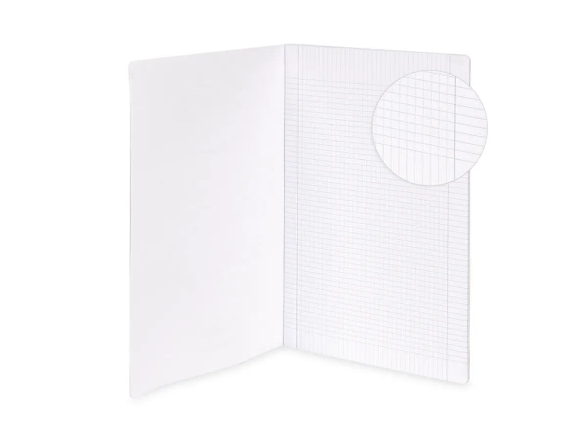 Set 5 quaderni A4 Fluo +1 omaggio – Quadretti 5 millimetri con margine